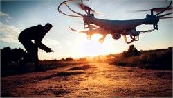 Dogs and Drones: New Projects in Puglia Emphasize Early Detection Against Xylella
